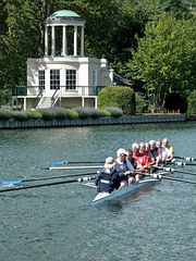 8 rowers rowing ... (PiPs) (the cox obviously doesn't count)