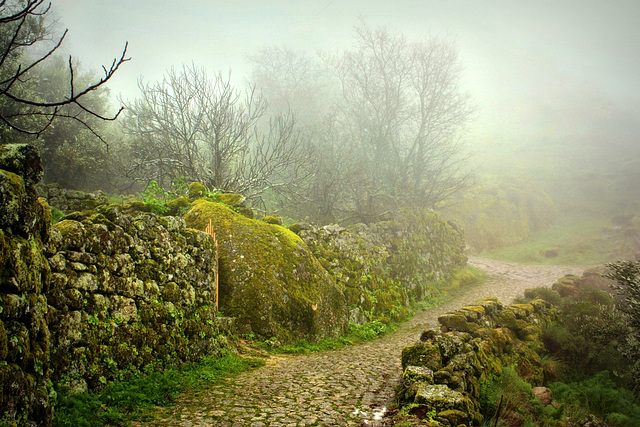 DE LA LLUVIA A LA NIEBLA