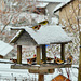 P1340568- Restau des oiseaux - Jardin.  01 décembre 2020