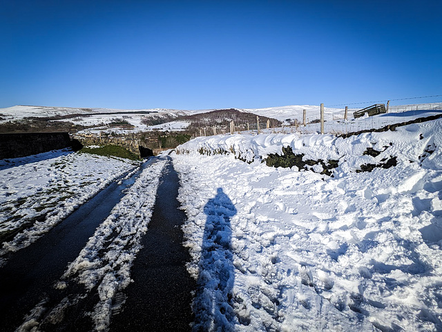 The day the snow came.