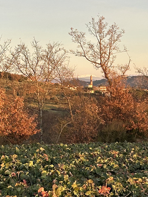 The belltower of Fontignano.