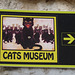 Kotor- This Way to the Cats Museum