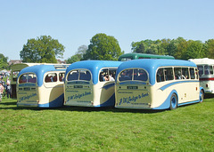 DSCF1716 Ipswich-Felixstowe Historic Vehicle Run 6 May 2018 - A trio of Bedford OBs - Entries F11, F12 and F13