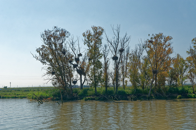 Au fil de l'eau (Guadalquivir) 2