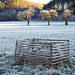 Wintermorgen