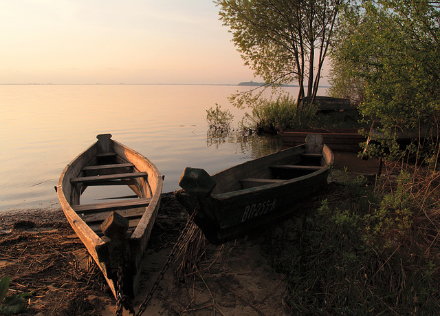 На озере Свитязь / On the Shore of Lake Svityaz