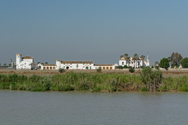 Au fil de l'eau (Guadalquivir)1