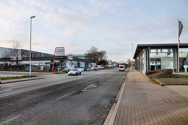 Weseler Straße (Mülheim-Speldorf) / 7.01.2023