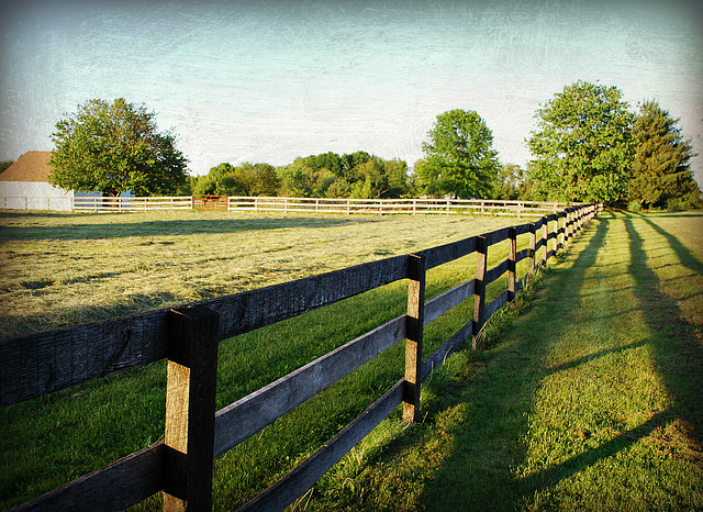 Rural Fence