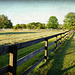 Rural Fence