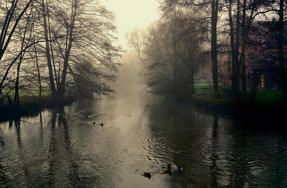 Ein nebeliger Wintertag - A foggy winter day