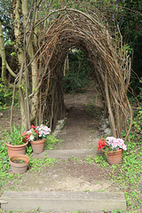 Willow Arch