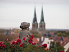 Ausblicke vom Schlossberg s. PiP's