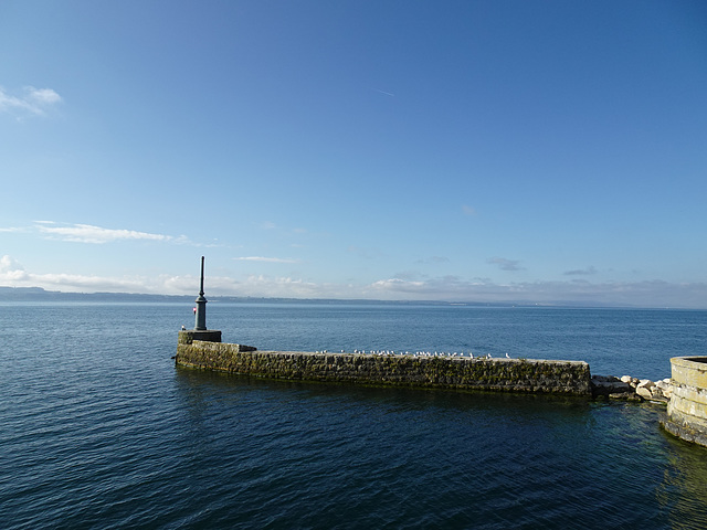 Ausfahrt aus dem Hafen Neuenburg