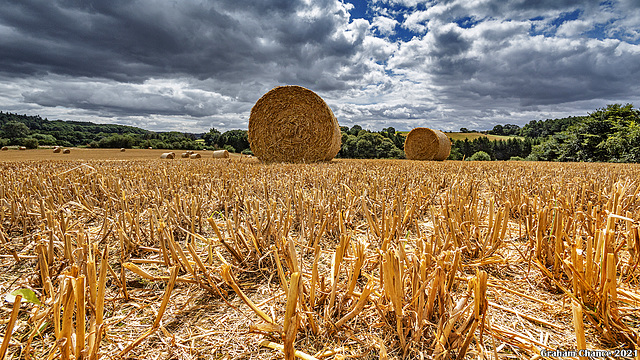 Straw bales