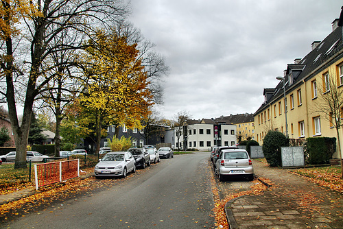 Am Roten Wasser (Schwelm) / 31.10.2021