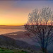 panorama dal Monte Fasce : porto ed aeroporto