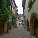 Riquewihr