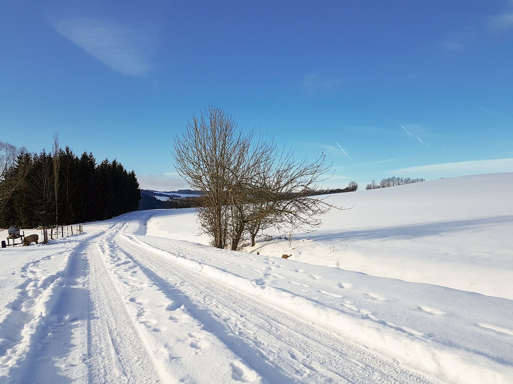 Blankenheim Ahrdorf