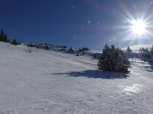 20180113 Raquettes Vercors Moucherotte (104) al