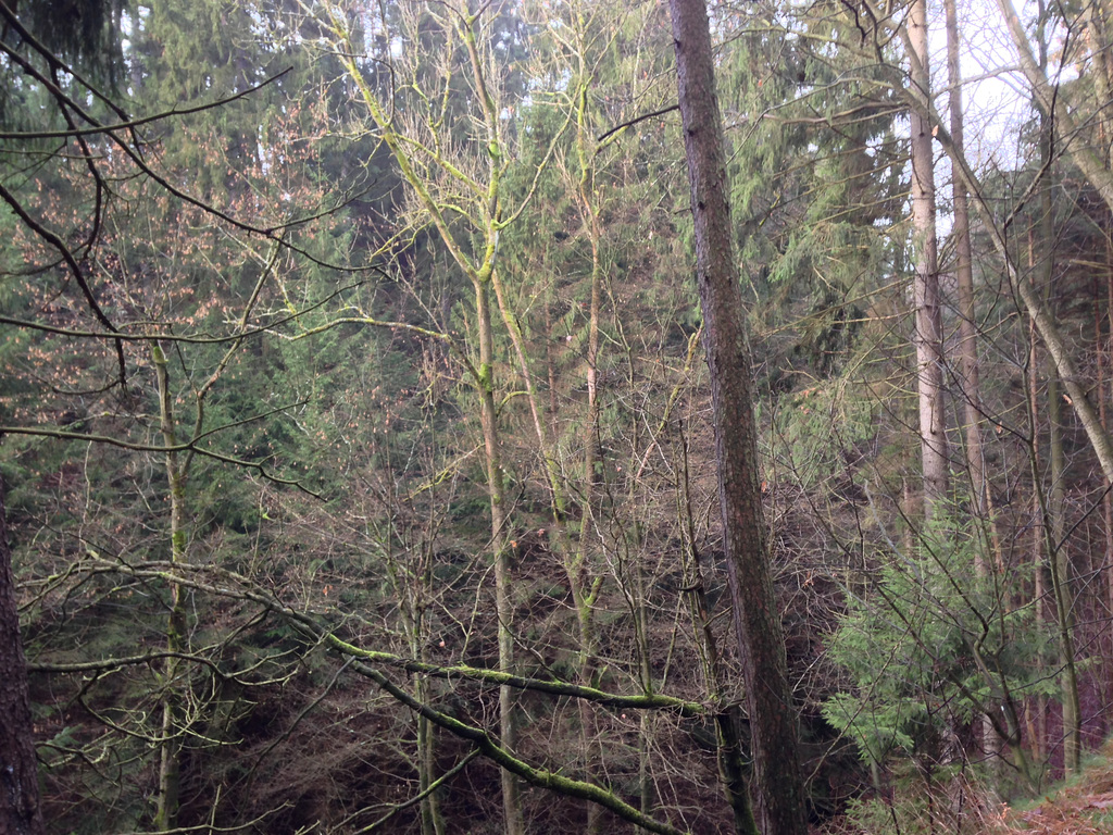 Füllhölzelweg