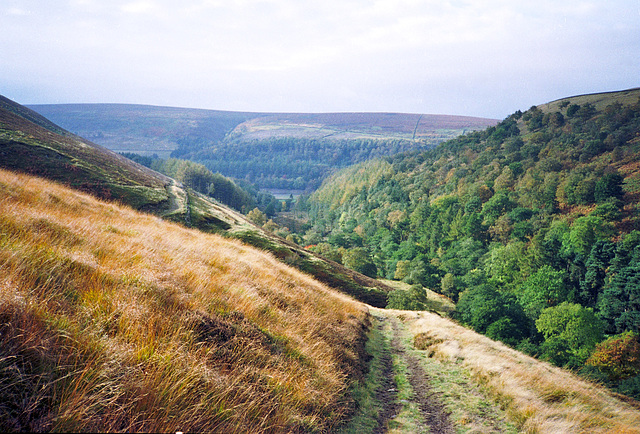 Looking back to the East over Gogman Clough and Forest Knoll (Scan from 1989)