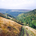Looking back to the East over Gogman Clough and Forest Knoll (Scan from 1989)