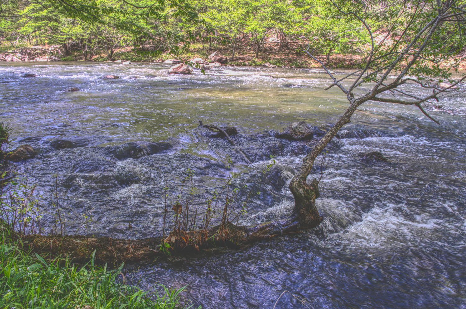 Banks of the Eno