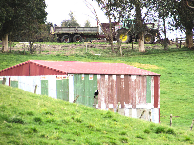 Down On The Farm.