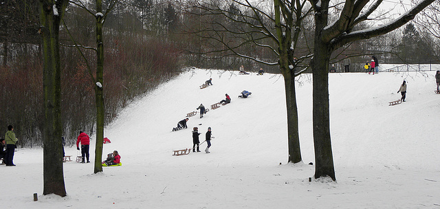Snow lovers