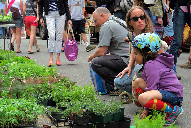 Farmers Market 1