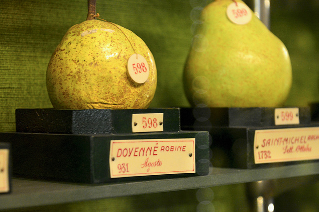 Turin 2017 – Fruit Museum – Wax pears