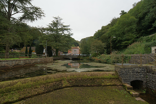 Cheddar Yeo River