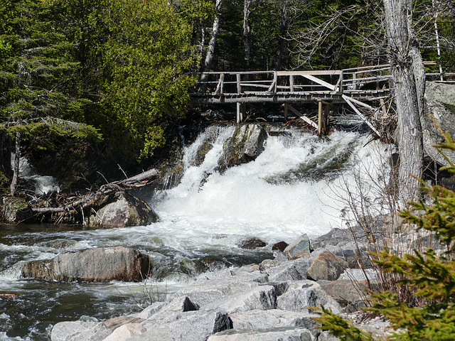 Day 12, Baie-des-Rochers, Quebec