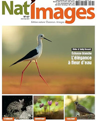 Natimages