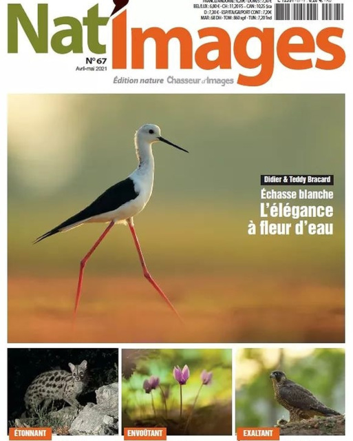 Natimages