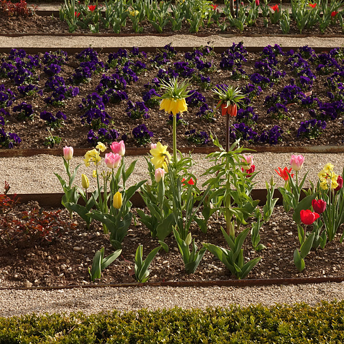 Blühendes Barock - - Augenweide