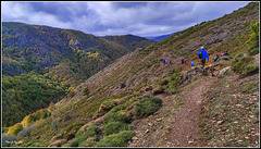 Montes de Ezcaray