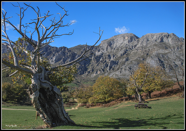 Mirando a los Picos de Europa   -   HBM