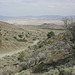 IMG 9675