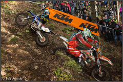 Welchen Weg sollen wir gehen?