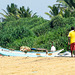 Sri Lankan traditional fishing, Wadduwa