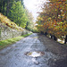 Autumn colours, the path alongside Derwent Reservoir (Scan from 1989)