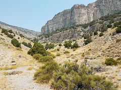 Wild Horse Canyon