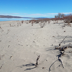 20190208 131951 001 20190208 131951 001