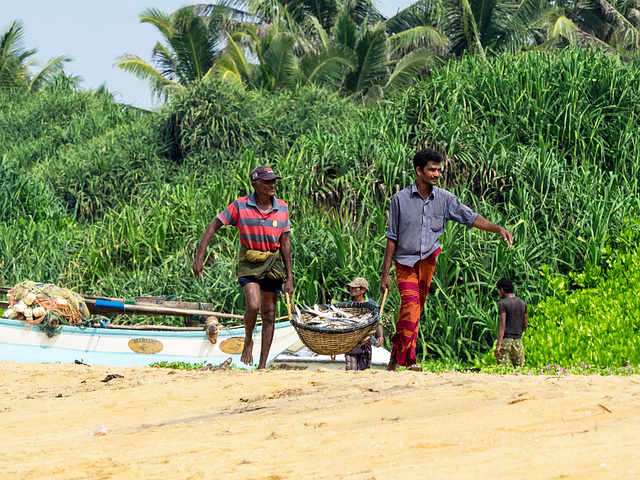 Sri Lankan traditional fishing, Wadduwa