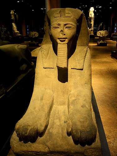 Turin 2017 – Museo Egizio – Sphinx