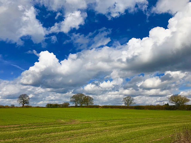 Return of big clouds over Gnosall