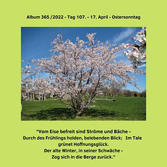 Album 365 /2022 - Tag 107. - 17. April - Ostersonntag