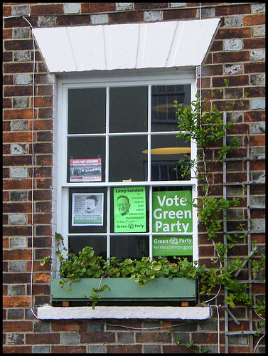 Green window